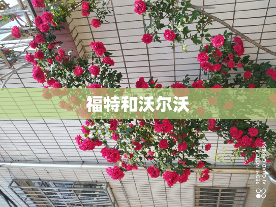 福特和沃尔沃