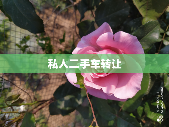 私人二手车转让