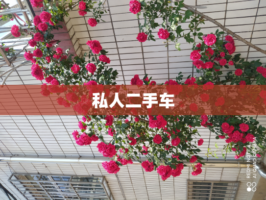 私人二手车
