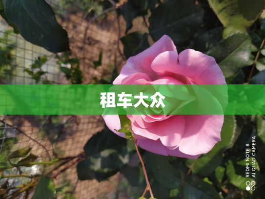租车大众