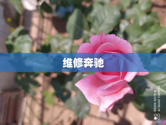 维修奔驰