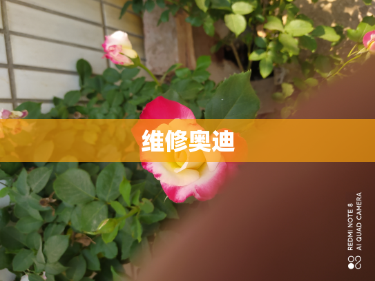 维修奥迪