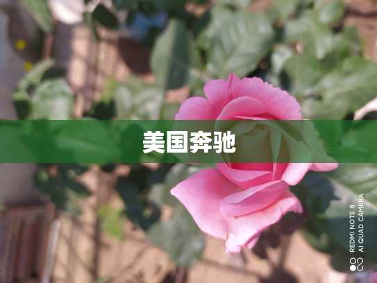 美国奔驰