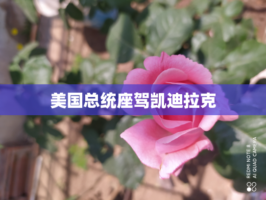 美国总统座驾凯迪拉克