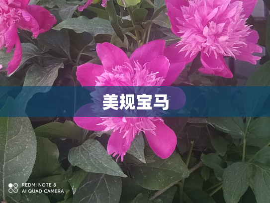 美规宝马