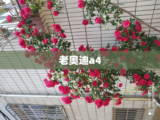 老奥迪a4