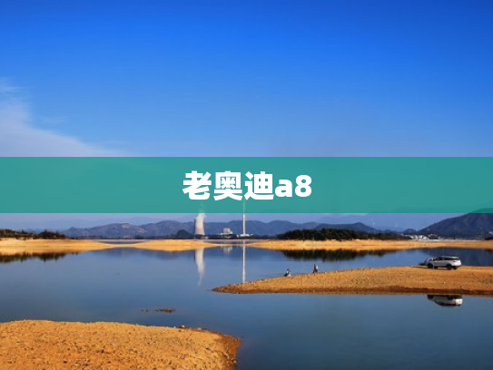 老奥迪a8