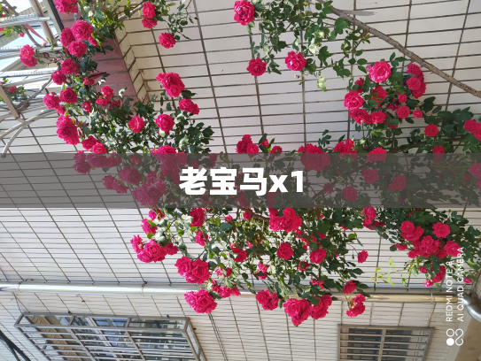 老宝马x1