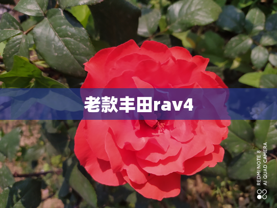 老款丰田rav4