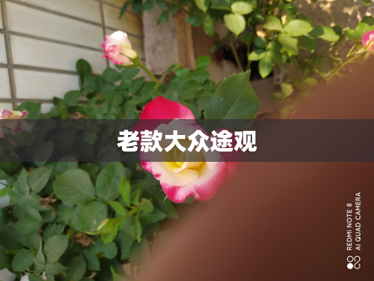 老款大众途观