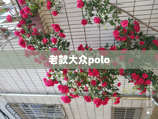 老款大众polo