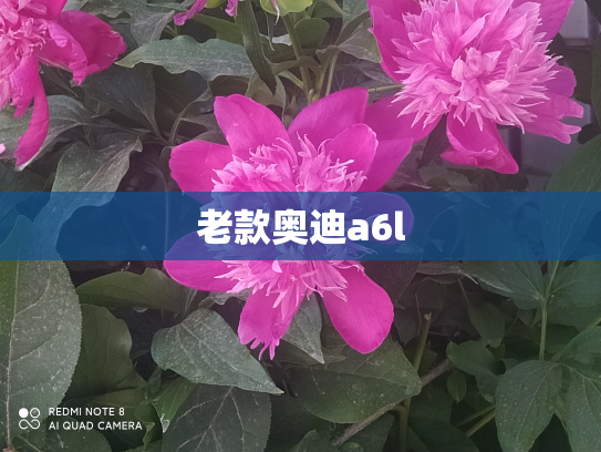 老款奥迪a6l