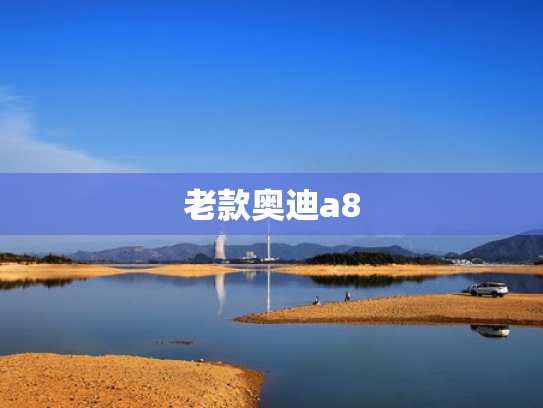 老款奥迪a8