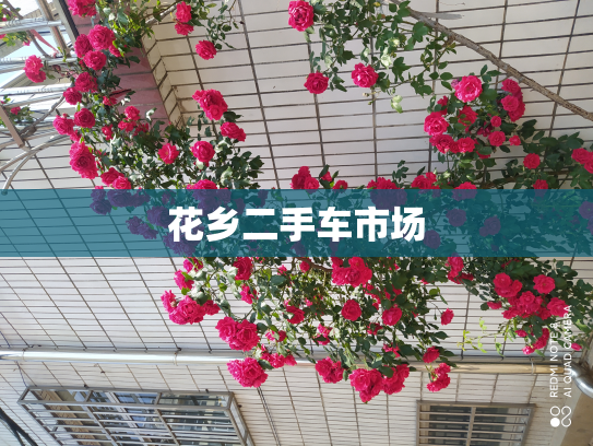 花乡二手车市场