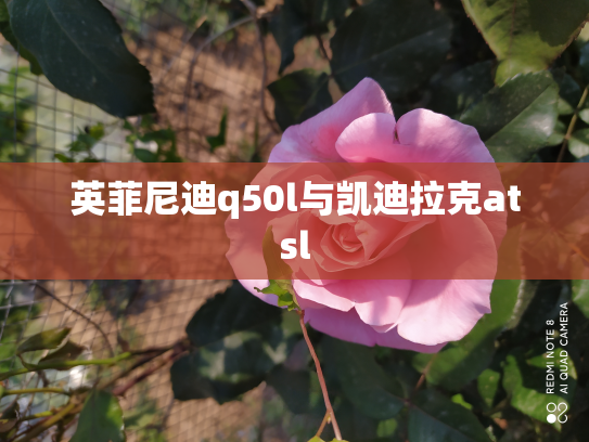 英菲尼迪q50l与凯迪拉克atsl