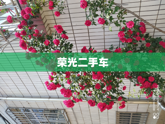 荣光二手车