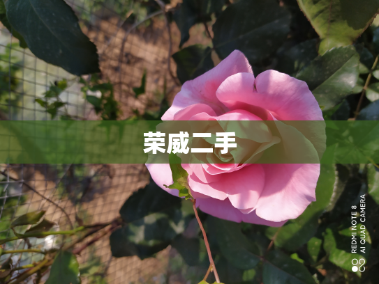 荣威二手
