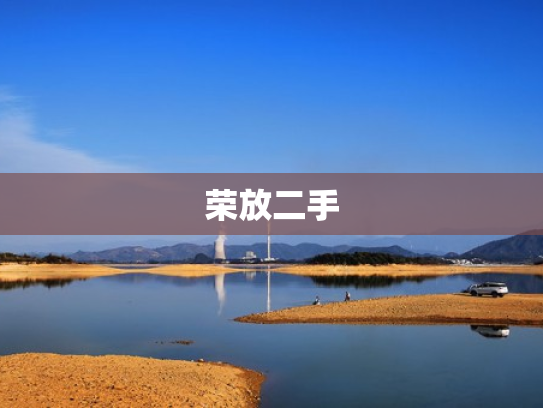 荣放二手