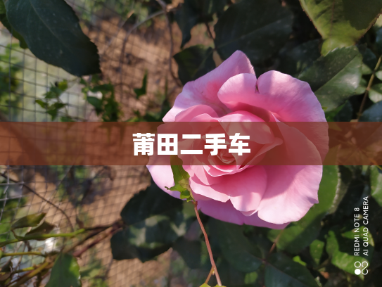 莆田二手车