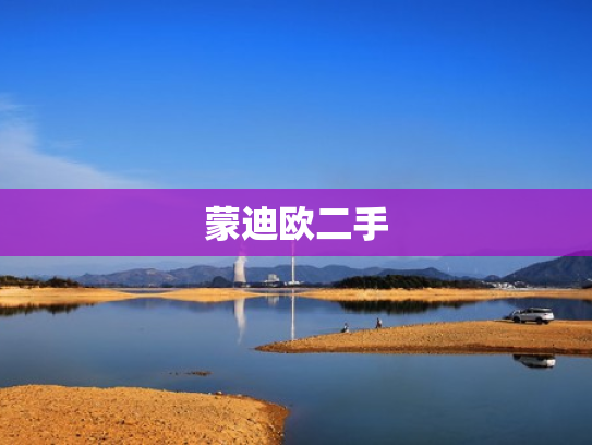 蒙迪欧二手