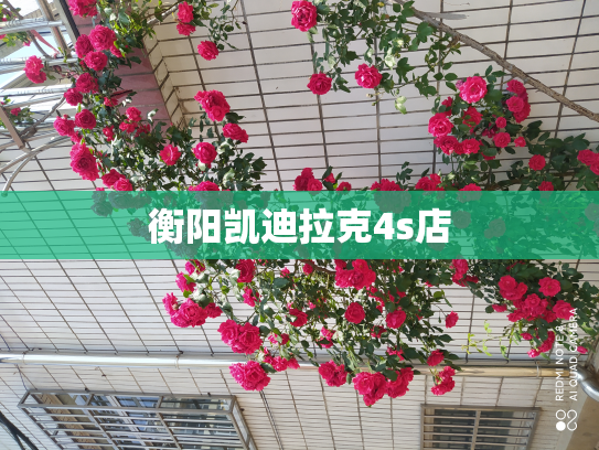 衡阳凯迪拉克4s店
