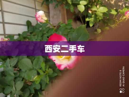 西安二手车