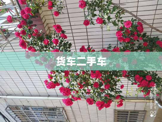货车二手车