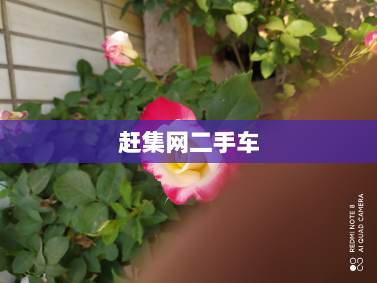 赶集网二手车