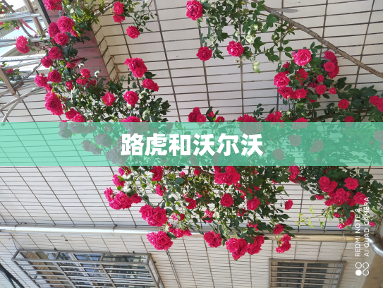 路虎和沃尔沃