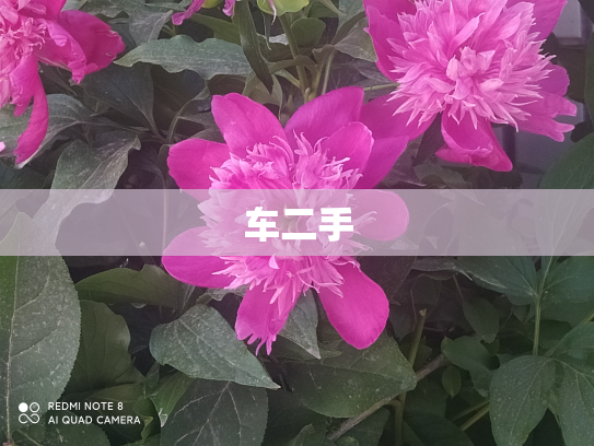 车二手