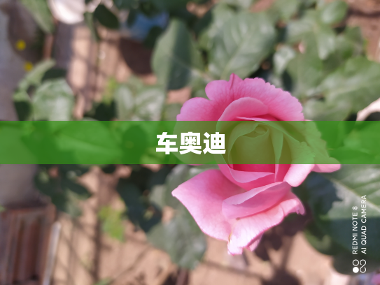 车奥迪