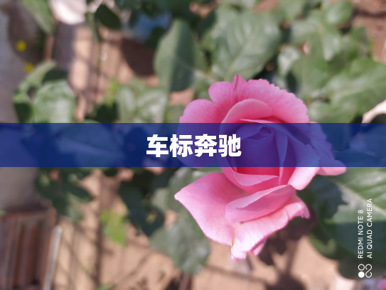 车标奔驰