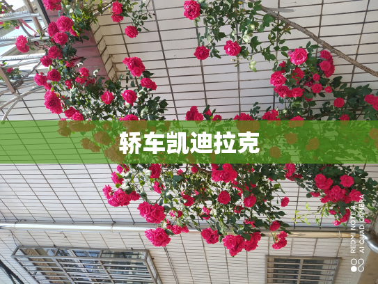 轿车凯迪拉克