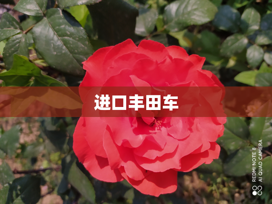 进口丰田车