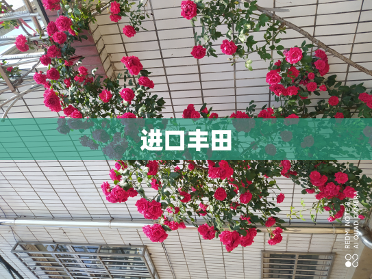 进口丰田