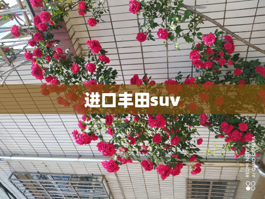 进口丰田suv