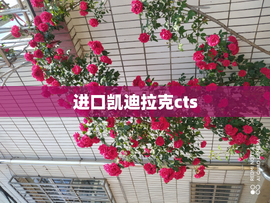进口凯迪拉克cts