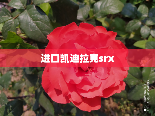进口凯迪拉克srx