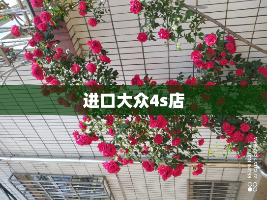 进口大众4s店