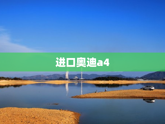 进口奥迪a4