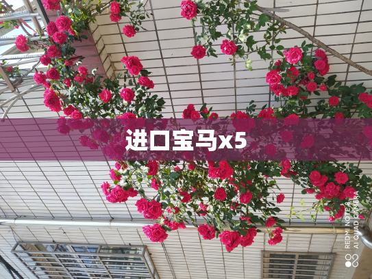 进口宝马x5