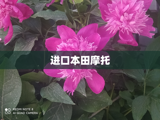 进口本田摩托
