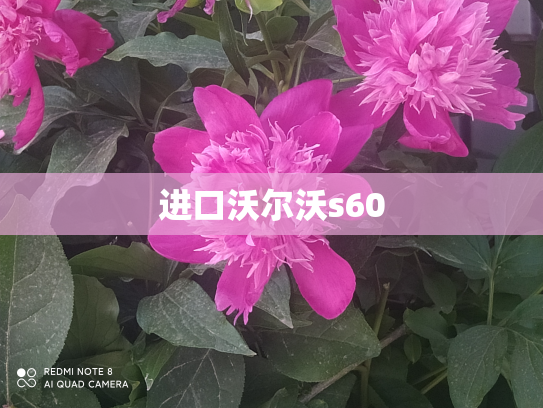 进口沃尔沃s60