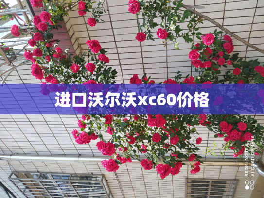 进口沃尔沃xc60价格
