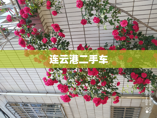 连云港二手车