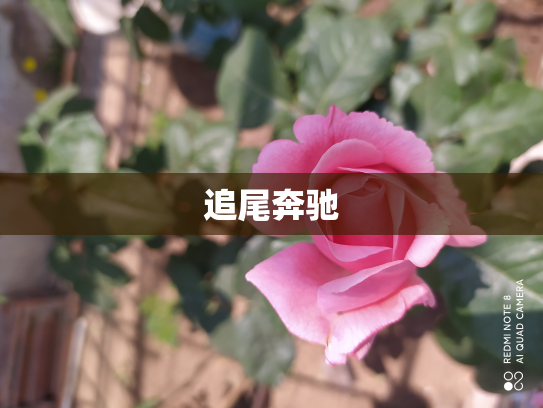 追尾奔驰