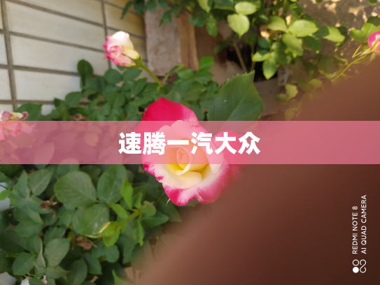 速腾一汽大众