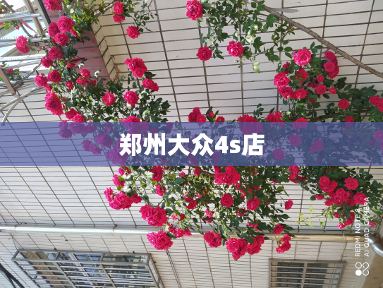 郑州大众4s店
