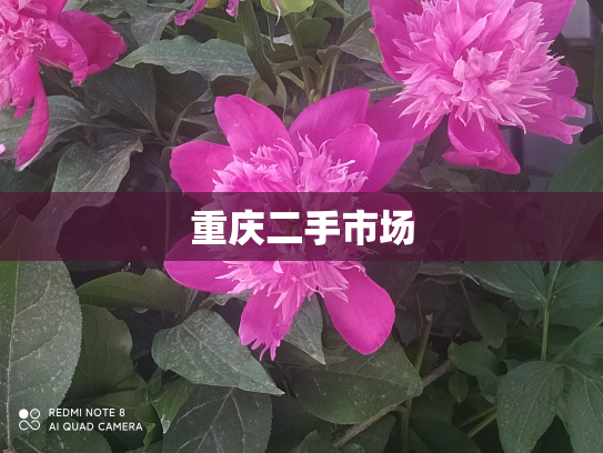 重庆二手市场