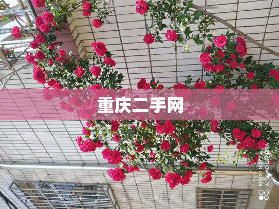 重庆二手网